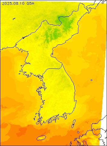 2025-08-10 05 : 00