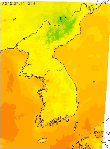 2025-08-11 01 : 00