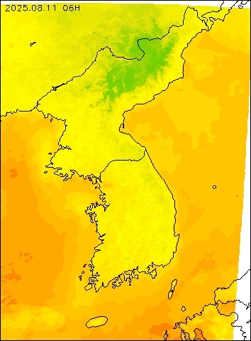 2025-08-11 06 : 00