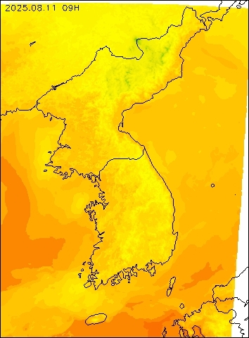 2025-08-11 09 : 00