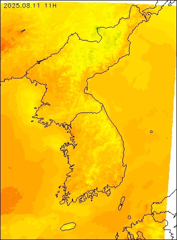 2025-08-11 11 : 00