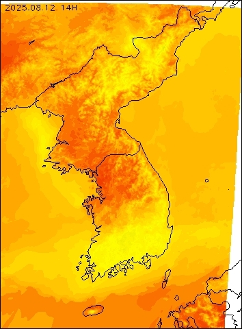 2025-08-12 14 : 00