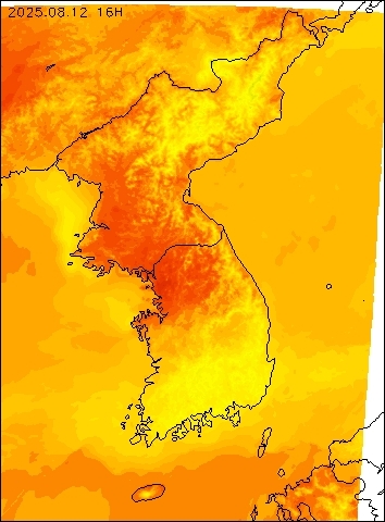 2025-08-12 16 : 00