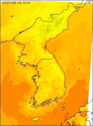 2025-08-16 01 : 00