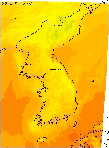 2025-08-16 07 : 00