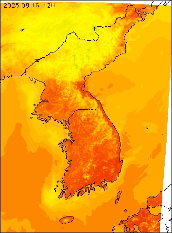 2025-08-16 12 : 00