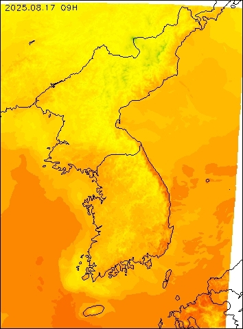 2025-08-17 09 : 00