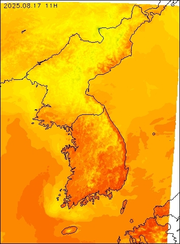 2025-08-17 11 : 00
