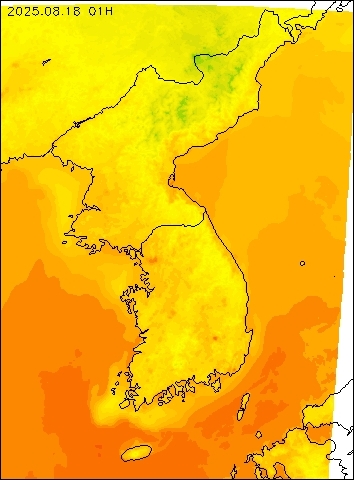 2025-08-18 01 : 00