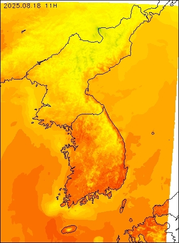 2025-08-18 11 : 00