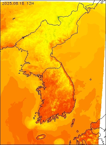 2025-08-18 12 : 00