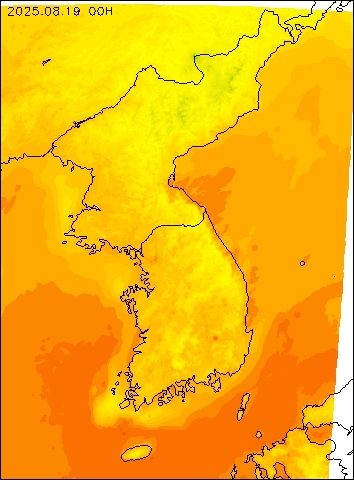 2025-08-19 00 : 00