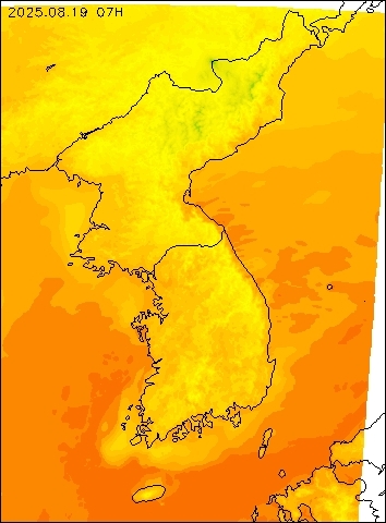 2025-08-19 07 : 00