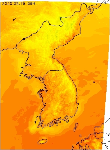 2025-08-19 09 : 00