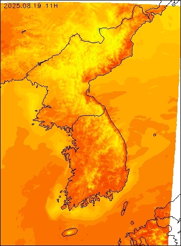 2025-08-19 11 : 00