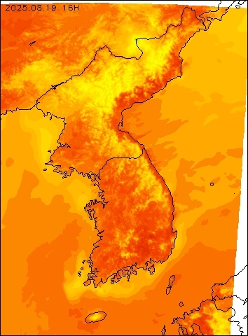 2025-08-19 16 : 00