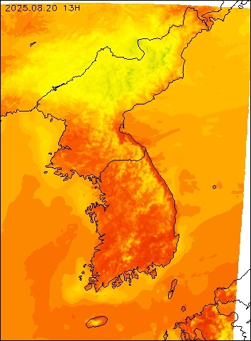 2025-08-20 13 : 00