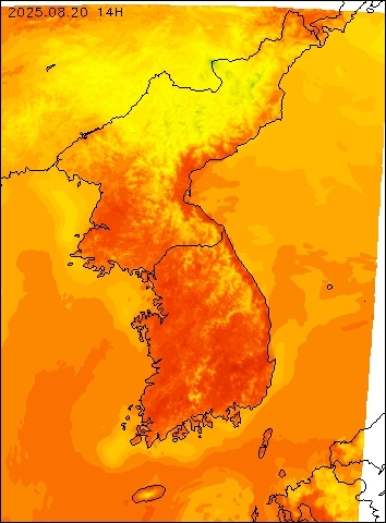 2025-08-20 14 : 00