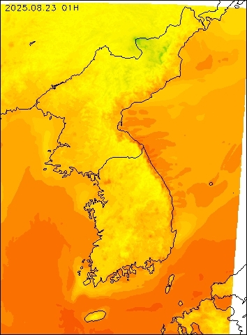 2025-08-23 01 : 00