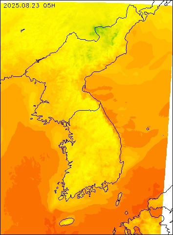2025-08-23 05 : 00