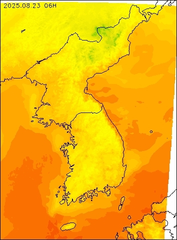 2025-08-23 06 : 00