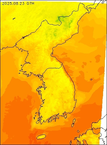 2025-08-23 07 : 00