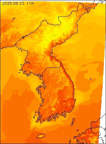 2025-08-23 11 : 00