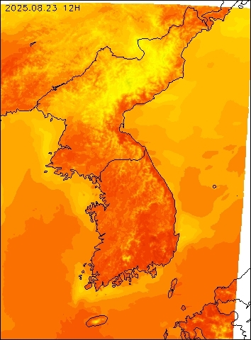 2025-08-23 12 : 00
