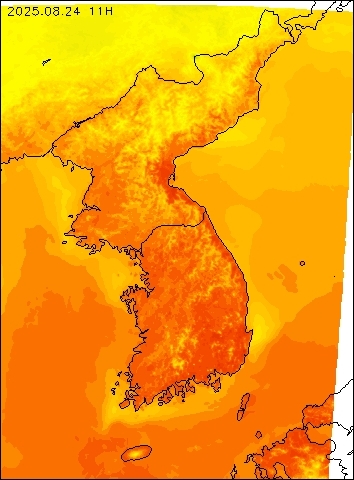 2025-08-24 11 : 00
