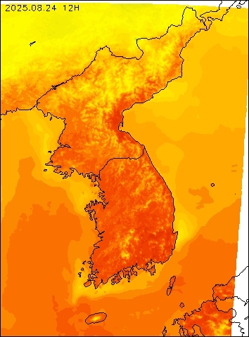 2025-08-24 12 : 00