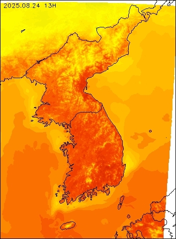 2025-08-24 13 : 00