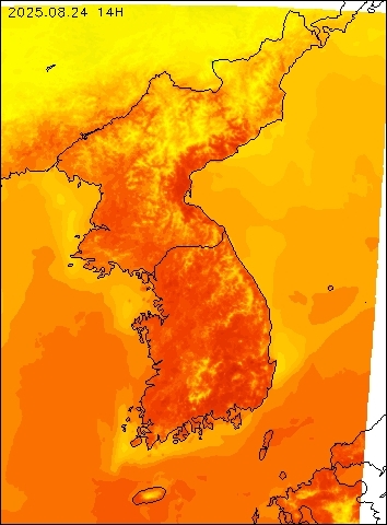 2025-08-24 14 : 00