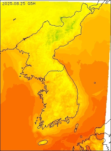 2025-08-25 05 : 00