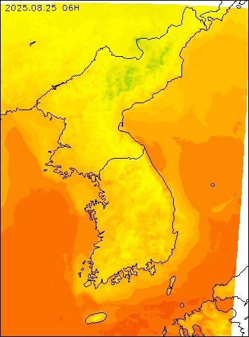 2025-08-25 06 : 00