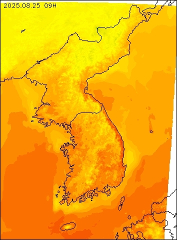 2025-08-25 09 : 00