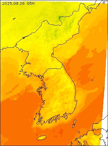 2025-08-26 05 : 00