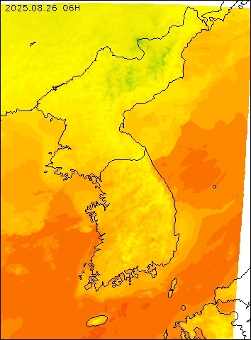 2025-08-26 06 : 00