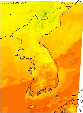 2025-08-26 09 : 00