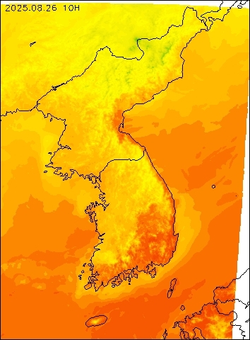 2025-08-26 10 : 00