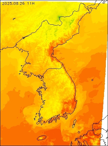 2025-08-26 11 : 00