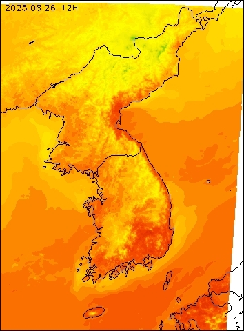 2025-08-26 12 : 00