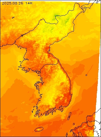 2025-08-26 14 : 00