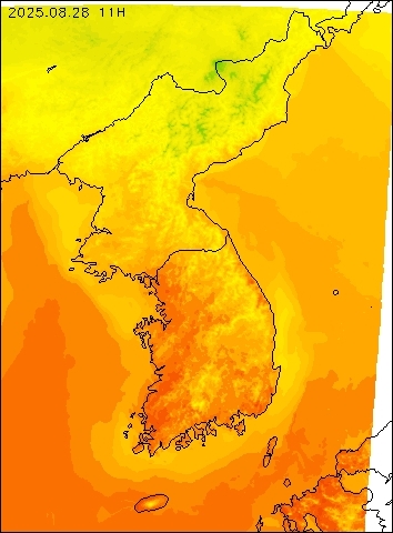 2025-08-28 11 : 00