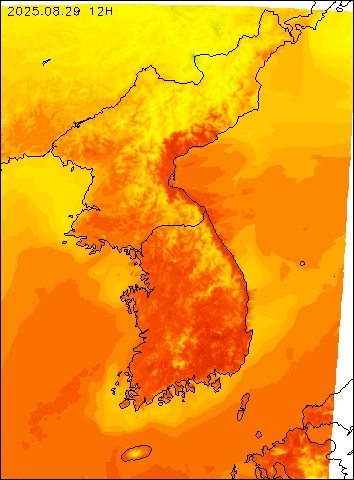 2025-08-29 12 : 00