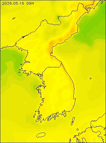 2026-05-16 09 : 00