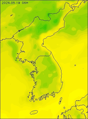 2026-05-19 06 : 00