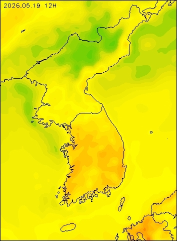 2026-05-19 12 : 00