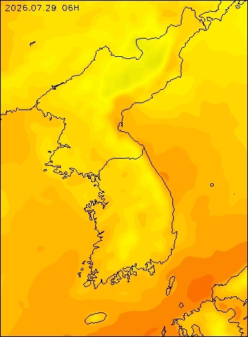 2026-07-29 06 : 00