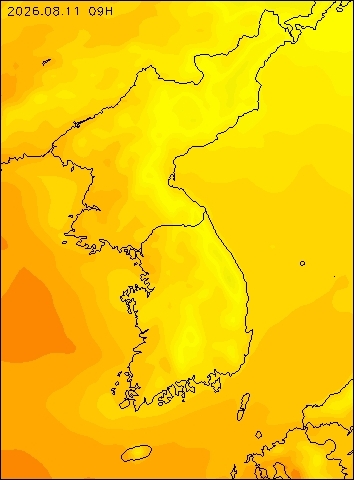 2026-08-11 09 : 00
