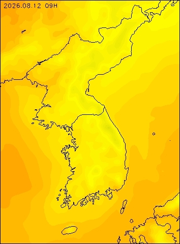 2026-08-12 09 : 00